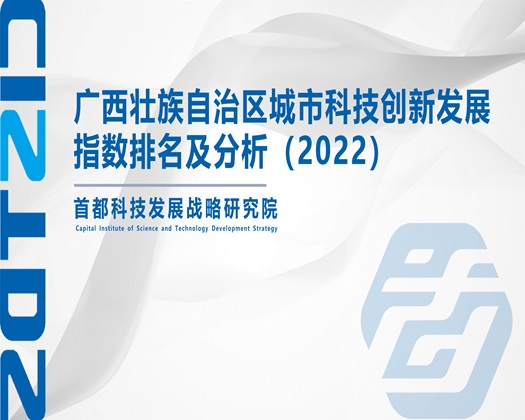 来个韩国操逼录像【成果发布】广西壮族自治区城市科技创新发展指数排名及分析（2022）